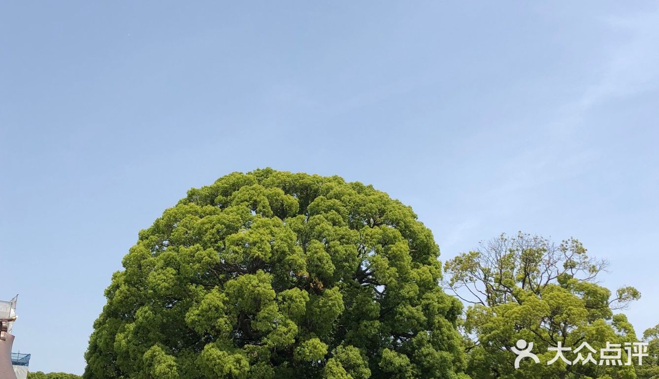 那个水池的水貌似可以直接饮用