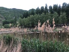 -白河湾生态旅游一条川