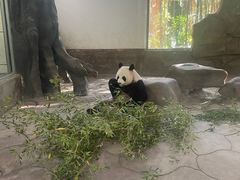 -宁波野生动物园