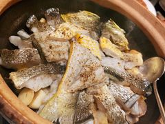 砂锅焗东海大黄鱼-人间采蜜(海信广场店)