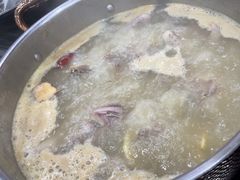 五指毛桃药膳汤底-鸽鸟轩(石岐店)