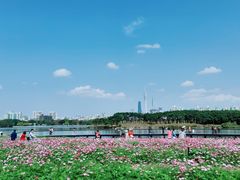 -海珠湖公园