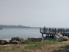 -天津东丽湖风景区