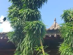 -胡氏古民居建筑