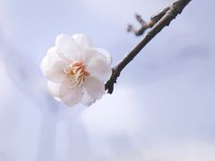 -蜀冈西峰生态公园