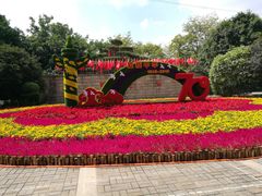 -光明港公园