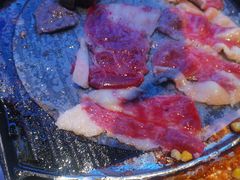 -喜井无限自助烤肉公司(石厦店)