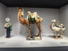 -四川宋瓷博物馆