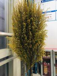 -痘院长·祛痘·皮肤管理