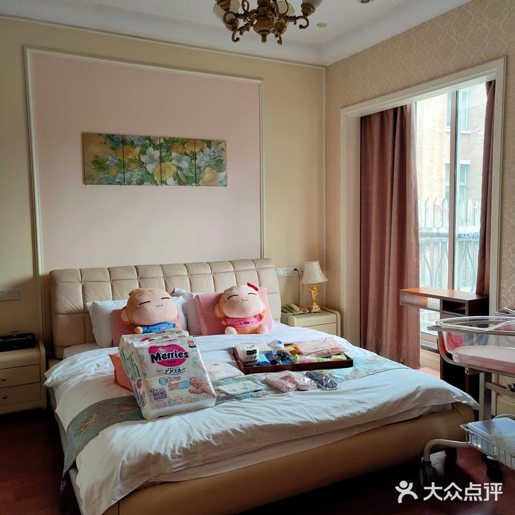 名媛贵妇如何坐月子？复旦奥医✨上海高端专业月子中心[强]