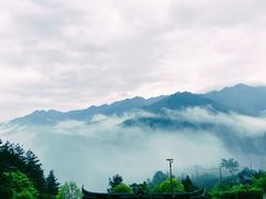 -紫鹊界梯田景区