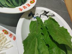 -蜀留香火锅·始于1999·原四川老火锅(白堤路店)