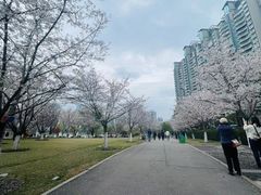 -西北湖绿化广场