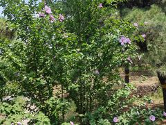 -北京西山国家森林公园