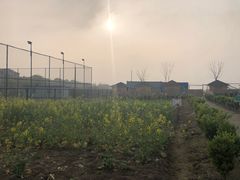 -上海崇明金茂凯悦酒店