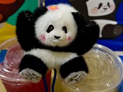 -瑞幸咖啡(大连罗斯福广场一层店)