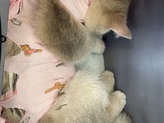 -美迦爱-牙专科·兔科·骨科诊疗中心(北苑店)