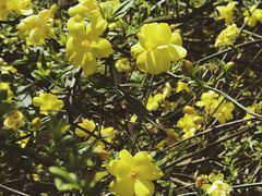 -溪口-滕头旅游景区