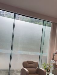 -碧莲盛·不剃发植发