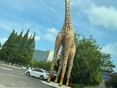 -西霞口神雕山野生动物世界