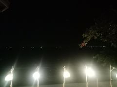 -卷心菜和避孕套餐厅(Pattaya)