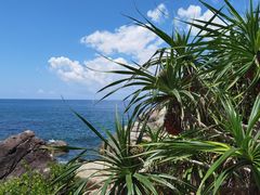 -三亚蜈支洲岛旅游区