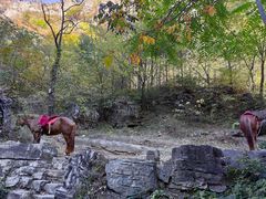 -孤山寨风景区