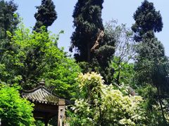 -李冰陵园