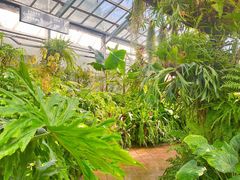 -国家植物园南园