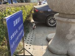 -聚缘堂·海鲜私房菜(松岭路店)