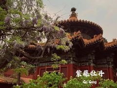 -故宫博物院(故宫)