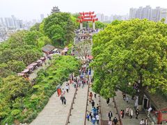 -黄鹤楼公园(黄鹤楼)