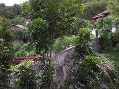 -普吉镇