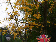 -塔子山公园
