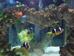 -太平洋海底世界