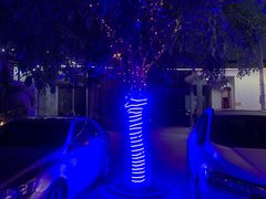 -墨脱石锅椰子鸡•海鲜糟粕醋(榆亚路店)
