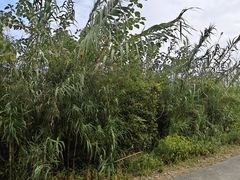 -南北湖风景区