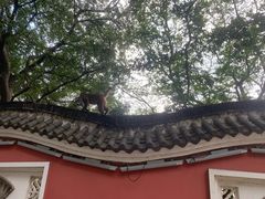 -句容茅山景区