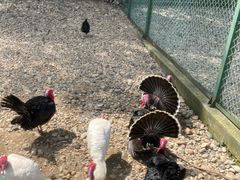 -南京金牛湖风景区