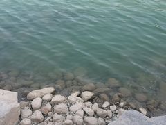 -天鹅湖生态旅游风景区