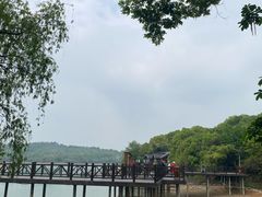 -天目湖山水园