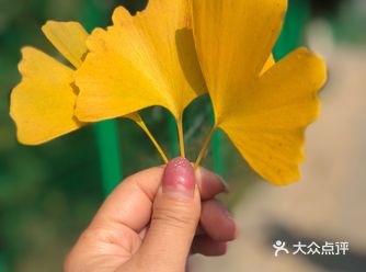 作为一个北方菇凉，来苏州十五年了依然热爱这座城市