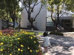 -Seesaw Coffee(上生新所店)