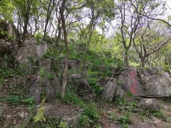 -南京老山国家森林公园