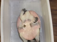 -洪光水鱼(丁字桥路店)