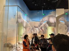 -国家自然博物馆