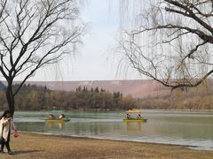 -黄河小浪底水利枢纽风景区