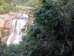 -海南热带雨林国家公园吊罗山景区