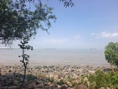 -上海吴淞炮台湾国家湿地公园