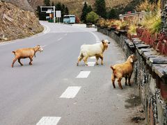 -康定跑马山风景区